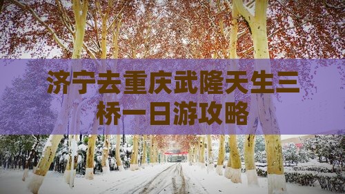 济宁去重庆武隆天生三桥一日