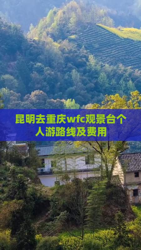 昆明去重庆wfc观景台个人游