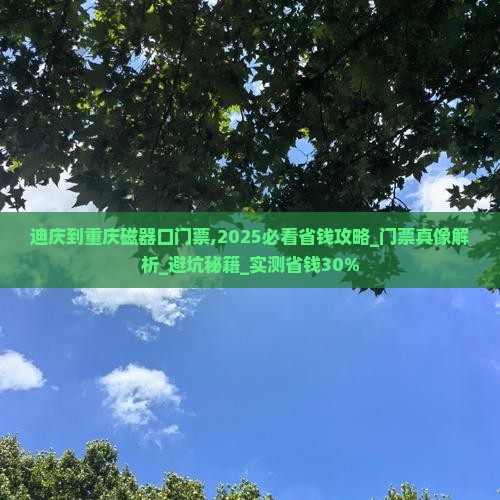迪庆到重庆磁器口门票