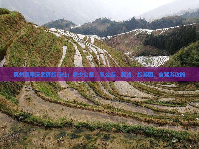 惠州到重庆武隆旅行社