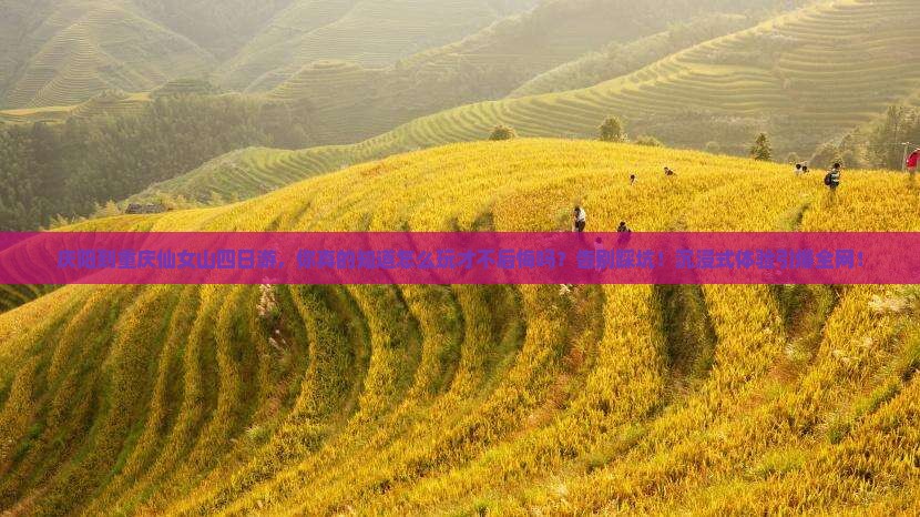 庆阳到重庆仙女山四日游