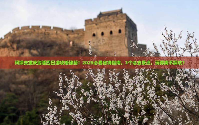 阿坝去重庆武隆四日游