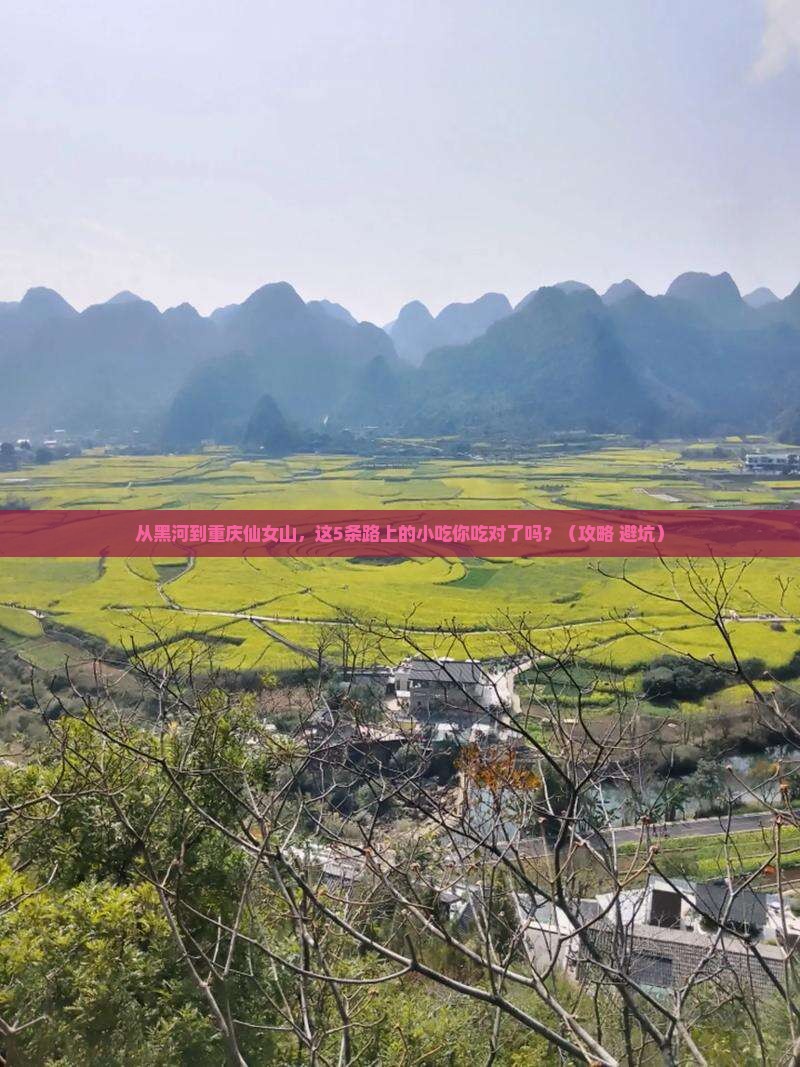 黑河到重庆仙女山旅游小吃