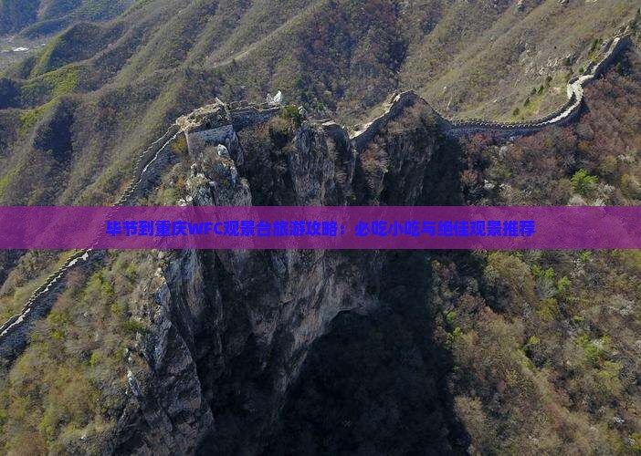 毕节去重庆wfc观景台旅游小吃