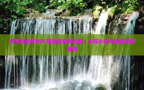 毕节去重庆wfc观景台旅游小吃