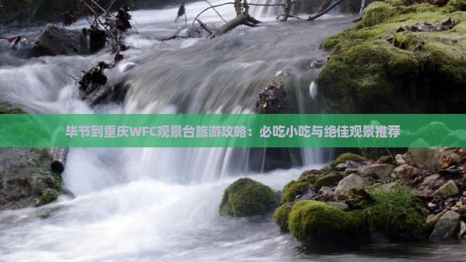 毕节去重庆wfc观景台旅游小吃