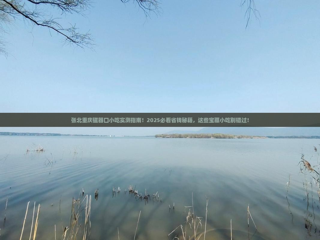 张北去重庆磁器口旅游小吃