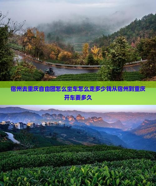 宿州去重庆自由团
