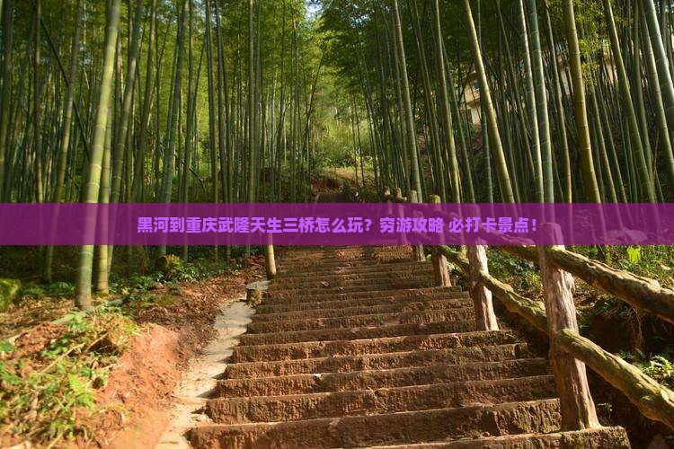 黑河到重庆武隆天生三桥旅行社