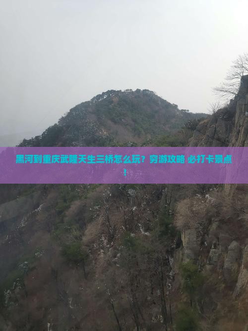黑河到重庆武隆天生三桥旅行社