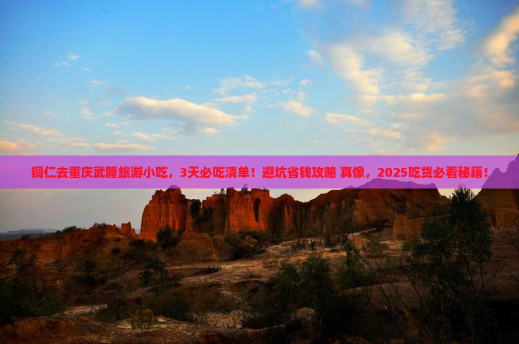 铜仁去重庆武隆旅游小吃