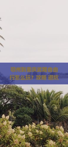 鄂州到重庆武隆自由行