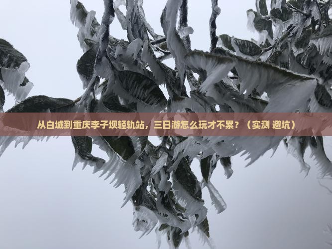 白城到重庆李子坝轻轨站三日游