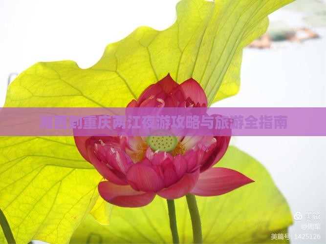 湘西到重庆两江夜游个人游