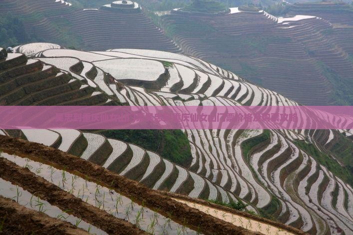 吴忠到重庆仙女山门票