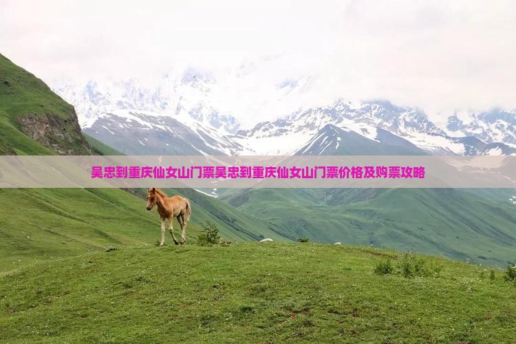 吴忠到重庆仙女山门票