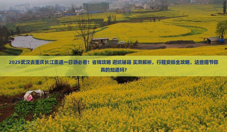 武汉去重庆长江索道一日