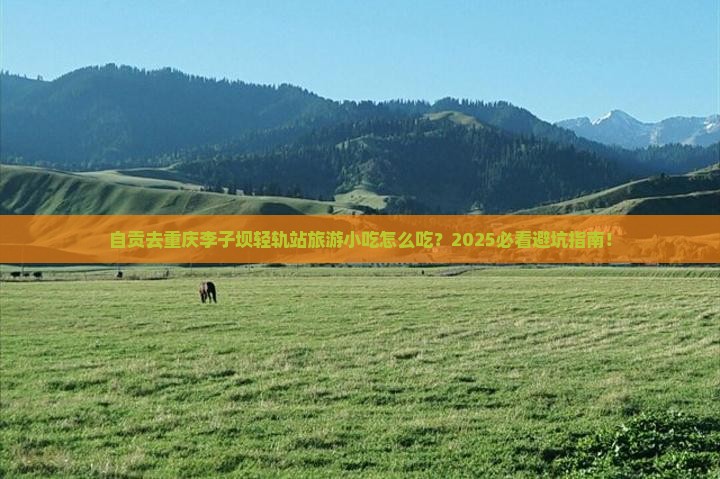 自贡去重庆李子坝轻轨站旅游小吃