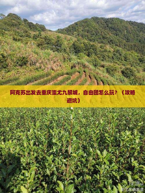 阿克苏到重庆蚩尤九黎城自由团