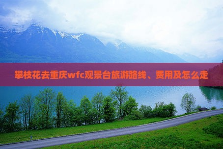 攀枝花去重庆wfc观景台旅游