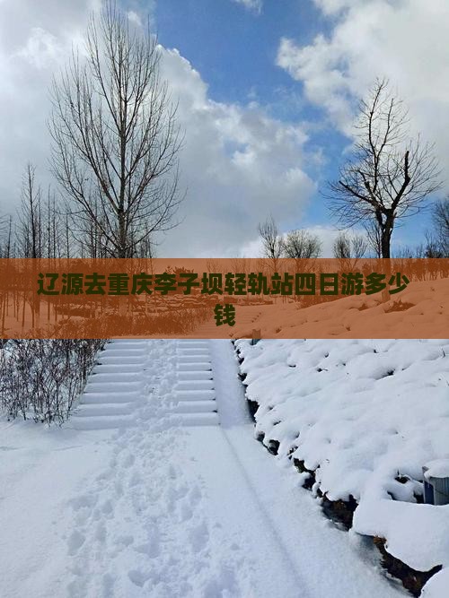 辽源去重庆李子坝轻轨站四日游