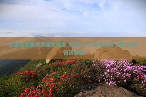 石家庄去重庆武隆必去地
