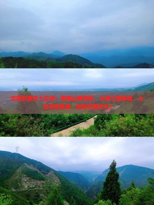 沈阳到重庆七日游