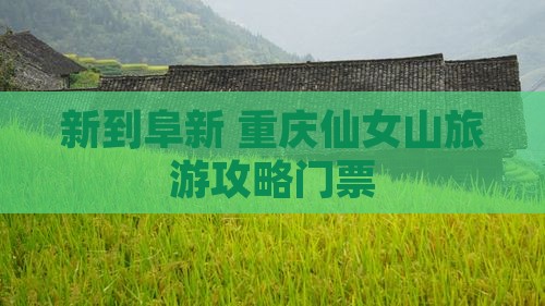 阜新到重庆仙女山门票