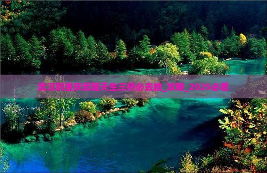武汉到重庆武隆天生三桥必去地