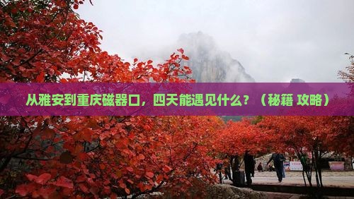 雅安去重庆磁器口四日游
