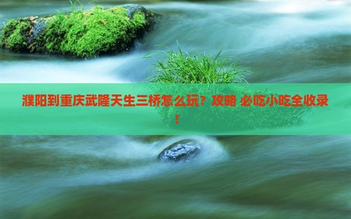 濮阳到重庆武隆天生三桥旅游小吃