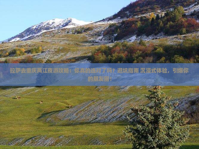 拉萨去重庆两江夜游攻略