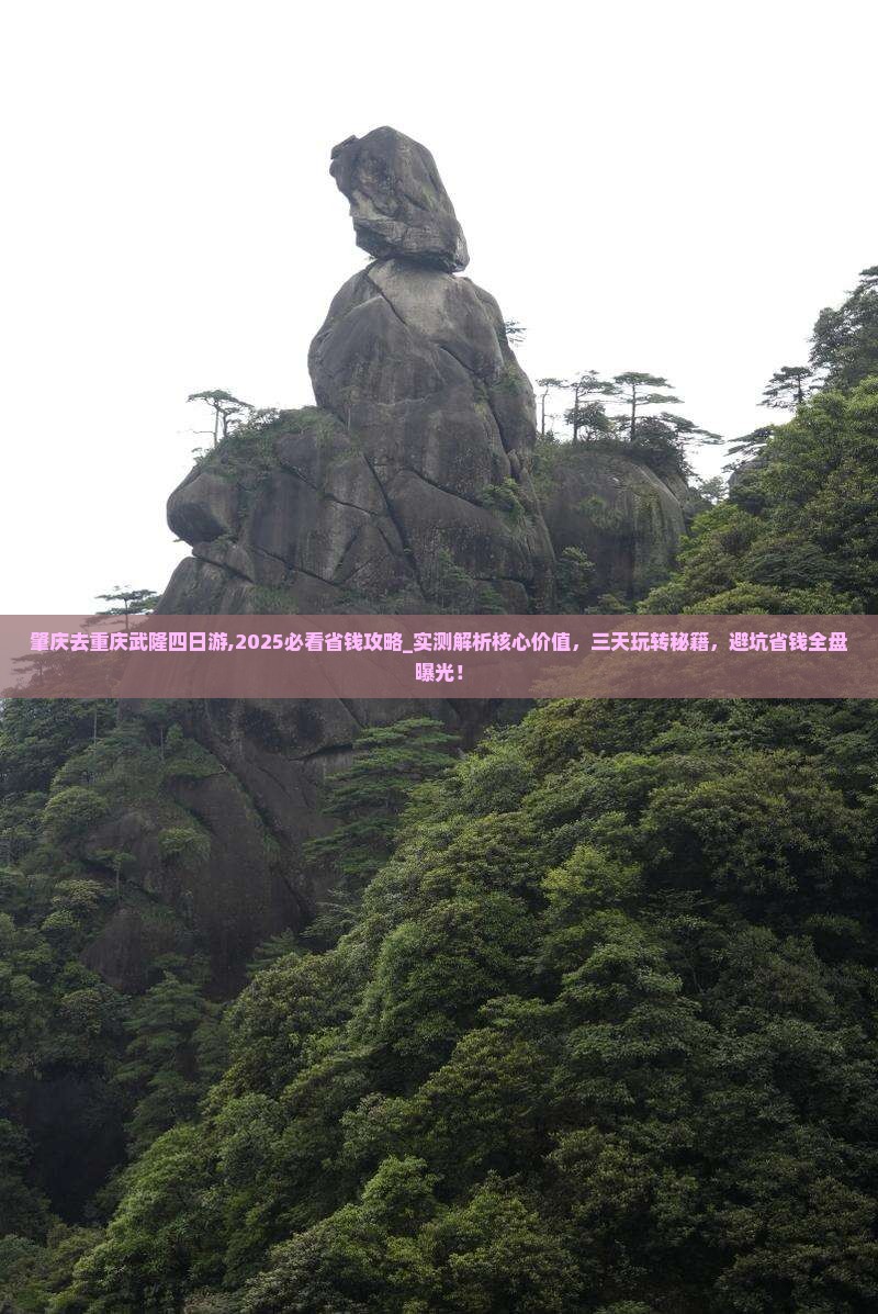 肇庆去重庆武隆四日游