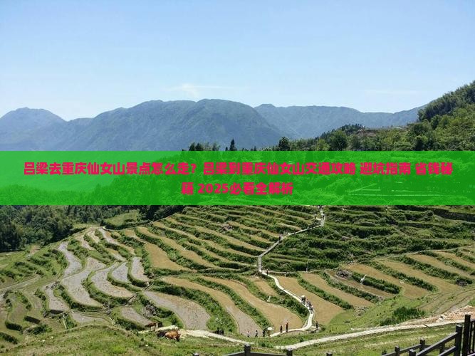 吕梁去重庆仙女山景点