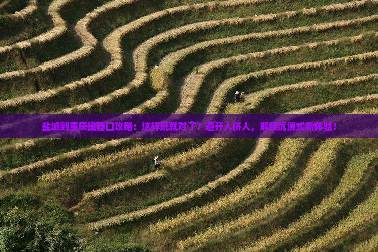 盐城到重庆磁器口攻略