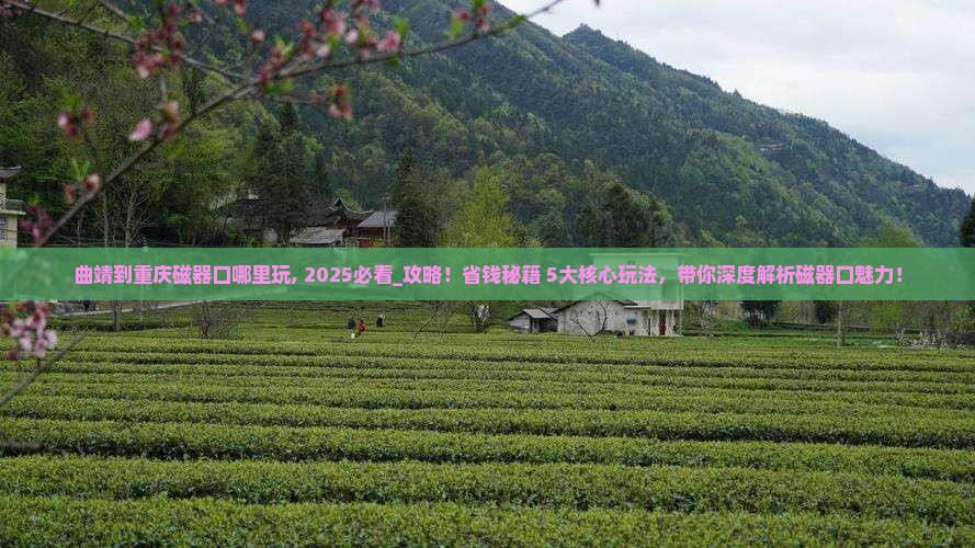 曲靖到重庆磁器口哪里玩