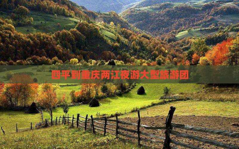 四平到重庆两江夜游大型旅游团