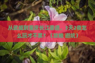 武威到重庆长江索道哪里玩