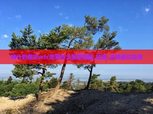 喀什到重庆wfc观景台大型旅游团