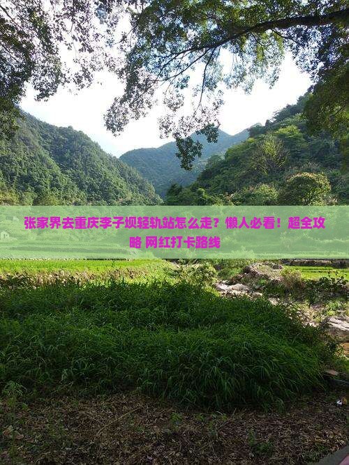 张家界去重庆李子坝轻轨站旅行社
