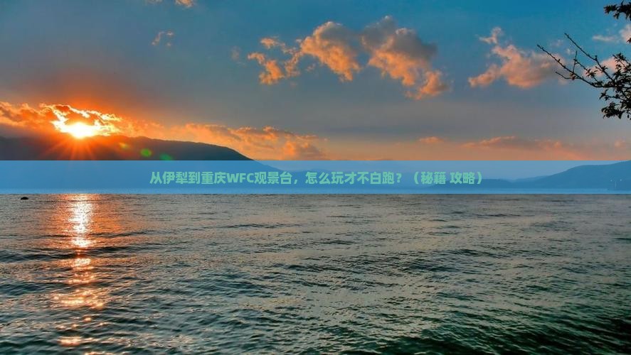 伊犁到重庆wfc观景台景点