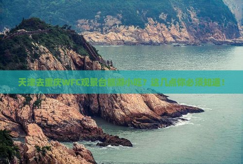 天津去重庆wfc观景台旅游小吃