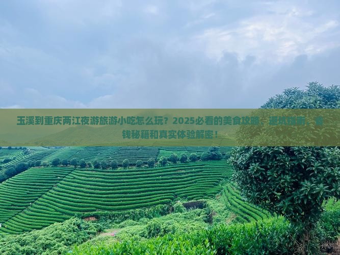 玉溪到重庆两江夜游旅游小吃