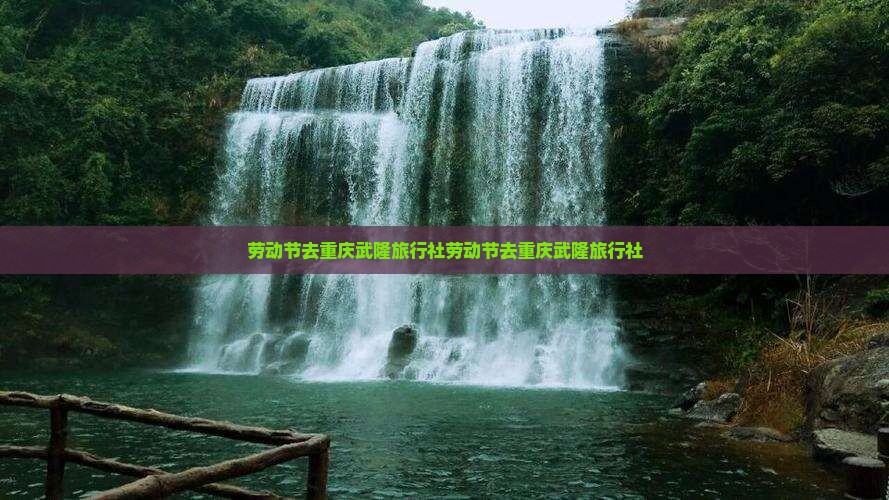 劳动节去重庆武隆旅行社