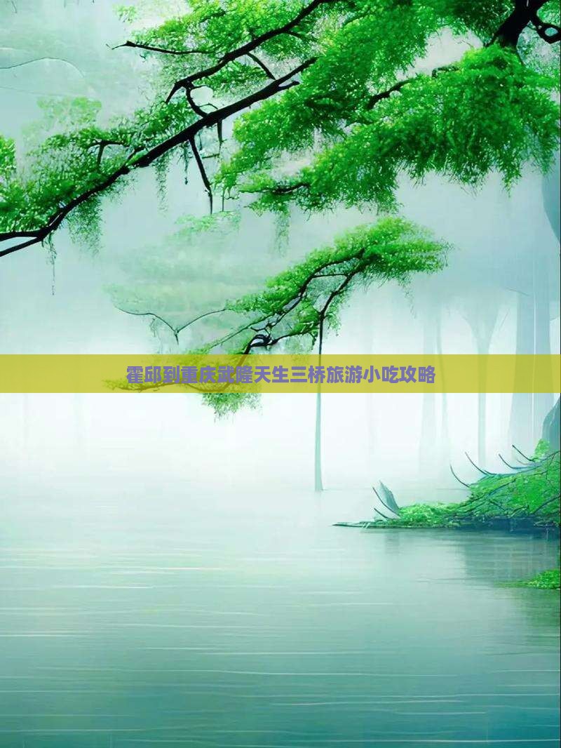 霍邱到重庆武隆天生三桥旅游小吃