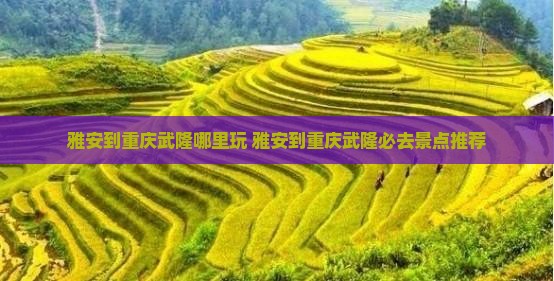 雅安到重庆武隆哪里玩