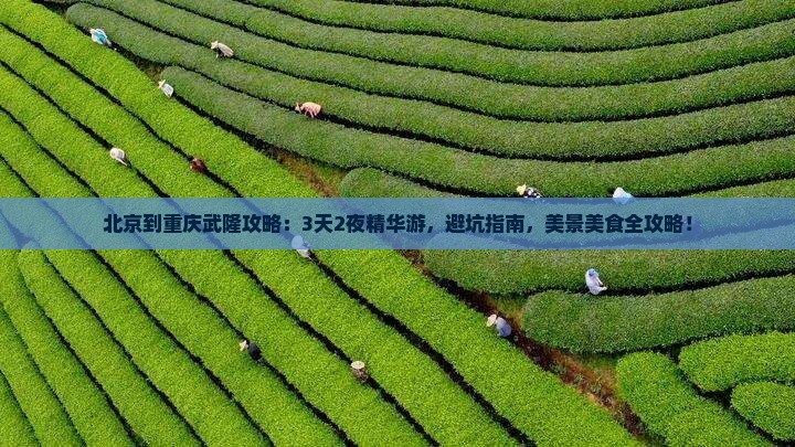 北京到重庆武隆攻略
