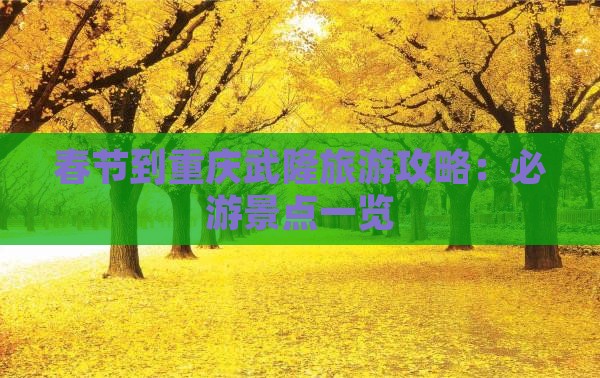 春节到重庆武隆一日