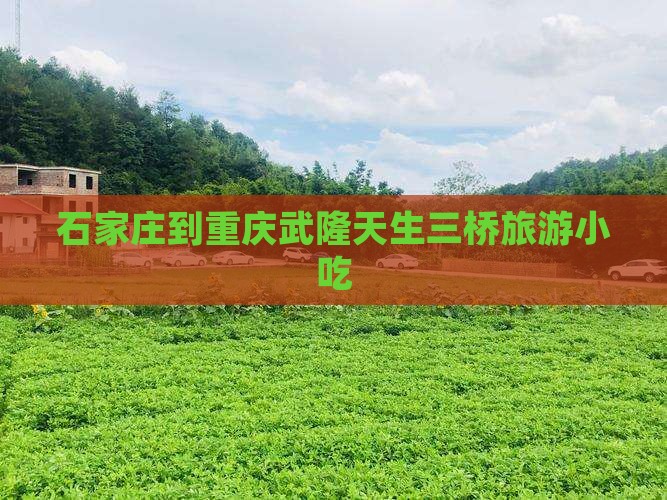石家庄到重庆武隆天生三桥旅游小吃