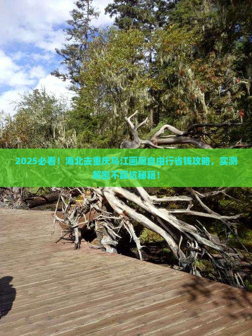 海北去重庆乌江画廊自由行